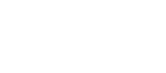 Human & Organizational Skills